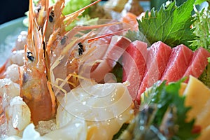 Raw shrimp sashimi Amaebi tuna fish shell platter icecube