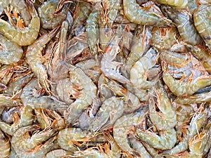 Raw shrimp sold in supermarket