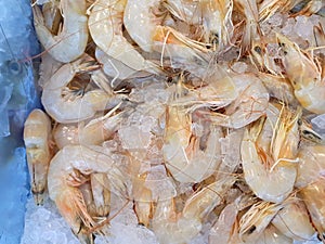 Raw shrimp sold in supermarket