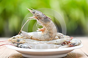 Raw shrimp on white plate for cooking with nature green background , close up fresh shrimps or prawns , seafood shelfish