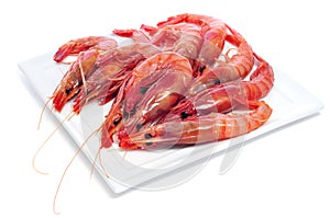 Raw shrimps