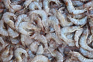 Raw shrimps background