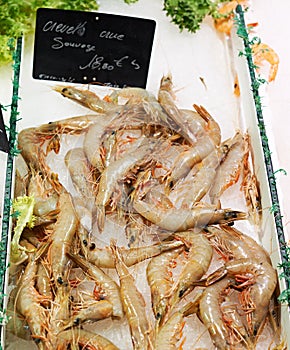 Raw shrimps on market