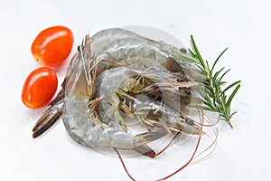 Raw shrimps prawns with ingredients herb tomato rosemary - fresh shrimp on white plate background