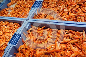 Raw shrimps on trays