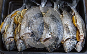 Raw silver sea bream fish