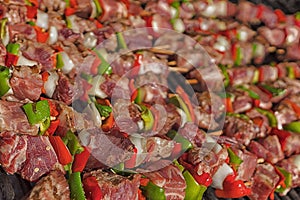 Raw skewers, close up