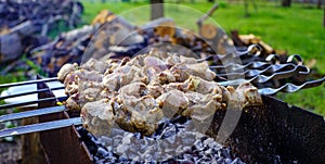 Raw skewers from turkey meat are cooked on a charcoal grill on a sunny summer day in nature with green grass in the background