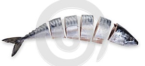 Raw sliced mackerel fish