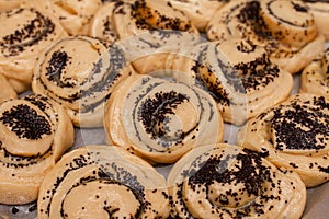 Dough brown pies with poppy seeds lies on baking sheet and ready for baking on row baking paper