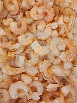 raw small shrimp to prepare sea food