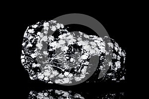 Raw snowflake obsidian volcanic glass in front of black background photo