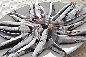 Raw spanish boquerones, anchovies typical in Spain