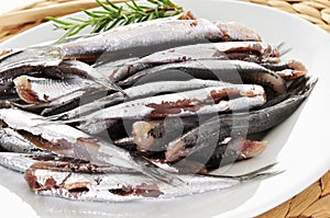 Raw spanish boquerones, anchovies typical in Spain