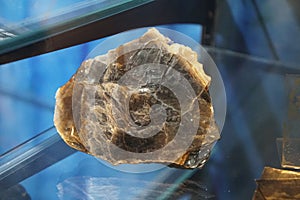 Raw specimen of muscovite mineral rock stone in geological museum.