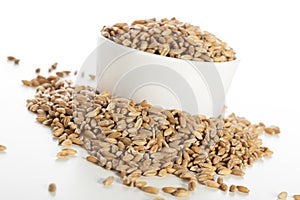 Raw Spelt Seeds