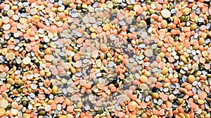Raw split mixed lentils