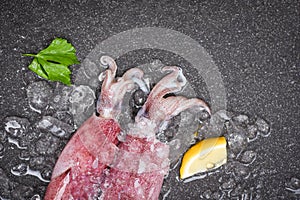 Raw squid on ice with lemon on the dark plate seafood market - fresh squids octopus or cuttlefish for cooked food salad restaurant