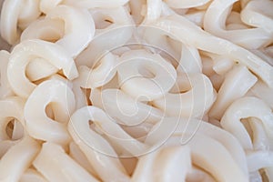 Raw Squid rings thawed close up