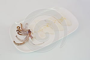 Raw squid slice on white dish isolate on white background ready