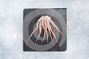 Raw squid tentacles on a black slate board. copy space Top view. Grey background