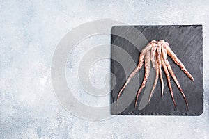 Raw squid tentacles on a black slate board. copy space Top view. Grey background