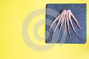 Raw squid tentacles on a black slate board. copy space Top view. Yellow background