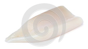 Raw squid tube isolated on white. Fresh seafood