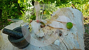 Raw squid on a wooden frame, cloves of garlic, lime and spices.