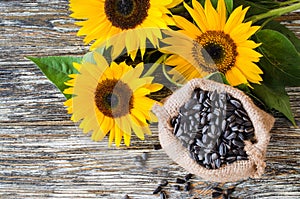 Raw sunflower seeds in burlap bag on a wooden table against the background and yellow sunflower