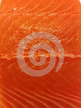 Raw Sushi Grade Salmon.