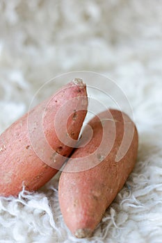 Raw sweet potatoes on white fabric material.
