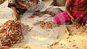 Raw Tamarind closeup at village