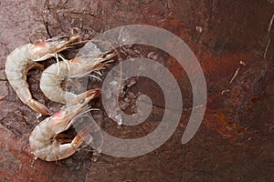 Raw tiger prawns on stone background