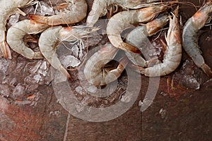 Raw tiger prawns on stone background