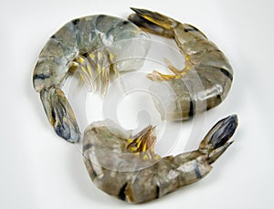 Raw Tiger Shrimp