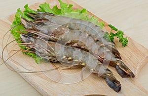 Raw tiger shrimps