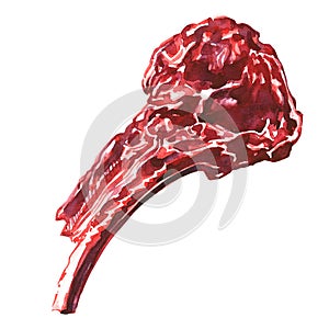 Raw tomahawk beef steak, uncooked meat ready to cook, close up, top view, isolated, hand drawn watercolor illustration