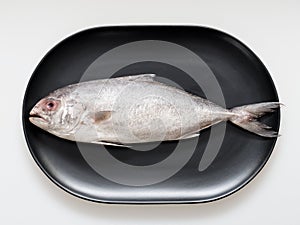 Raw trevally fish on black oval shape plate isolated on white background