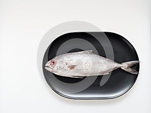 Raw trevally fish on black oval shape plate isolated on white background