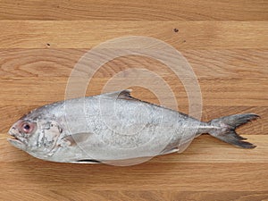 Raw trevally fish on wooden cutting board background