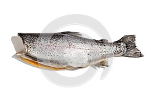 Raw trout carcass isolated on a white background. Sea fish, healthy food, mockup, flat lay