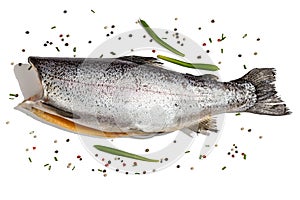 Raw trout carcass isolated on a white background. Sea fish, spices, healthy food, mockup, flat lay