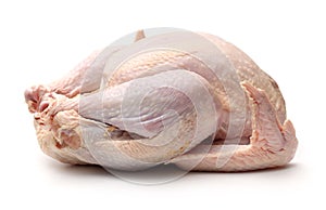 Raw Turkey