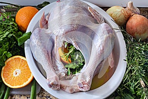 A raw turkey being prepared for Thanksgiving or a Christmas dinner
