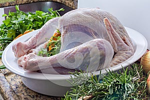 A raw turkey being prepared for Thanksgiving or a Christmas dinner