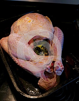 Raw turkey in a roasting pan, ready to be cooked