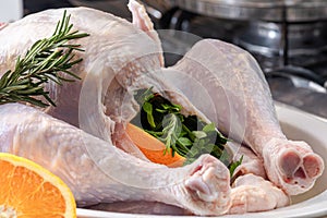 Raw turkey, Thanksgiving, Christmas dinner, preparation