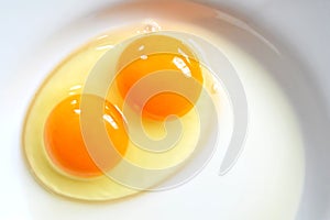 Raw two-yolk egg on the plate