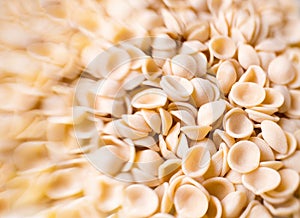Raw uncooked italian orecchiette pasta blur defocused